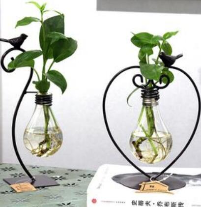 Glass Hydroponic Planter with Stand