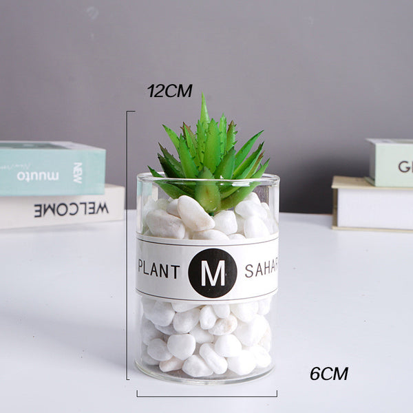 Artificial Succulent under Glass Dome