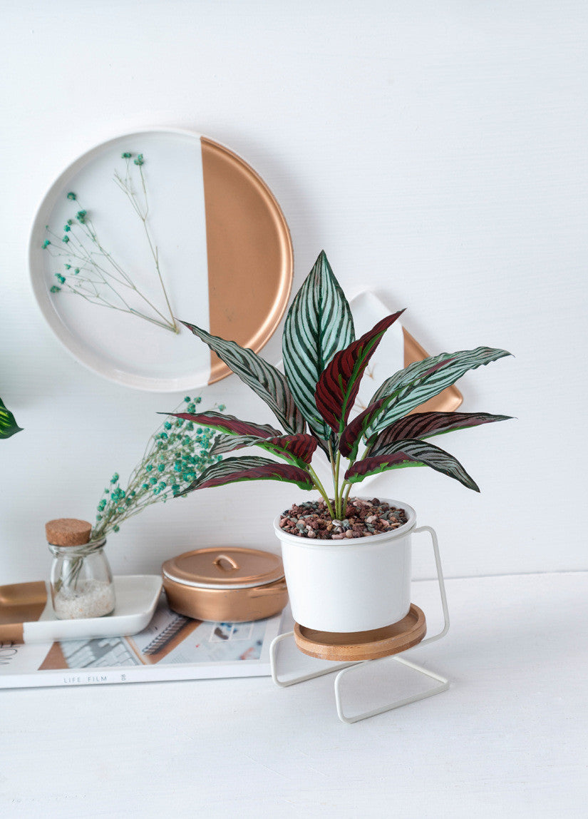 Geometric Ceramic Plant Pot - White