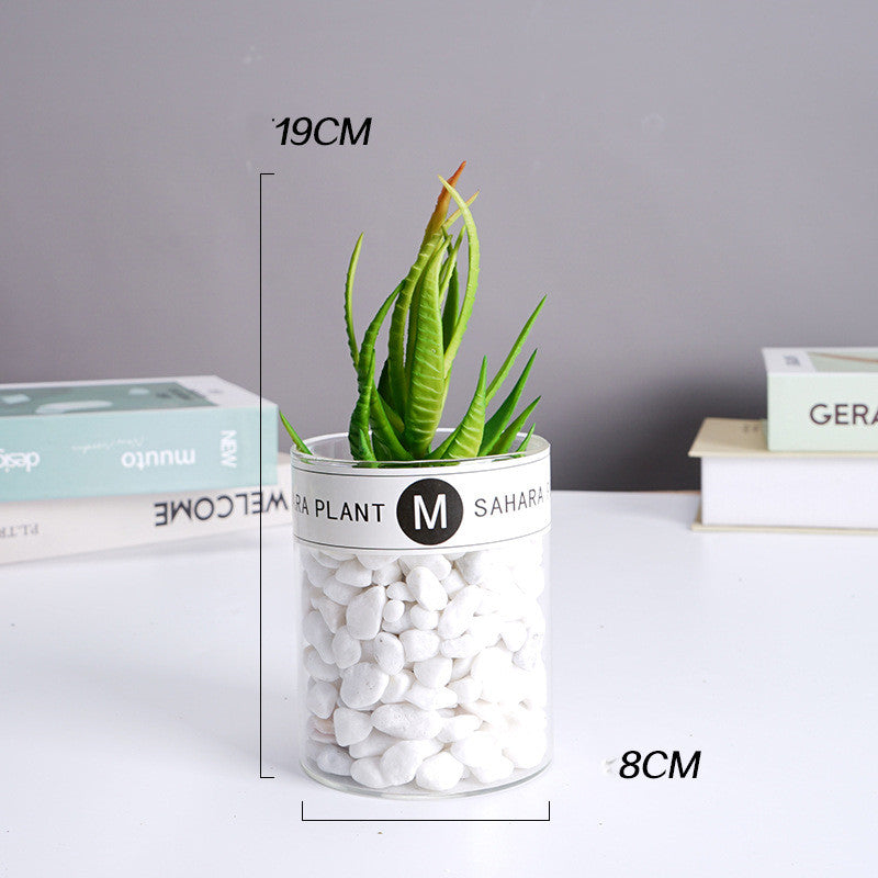 Artificial Succulent under Glass Dome
