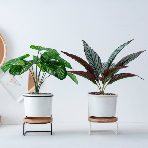 Geometric Ceramic Plant Pot
