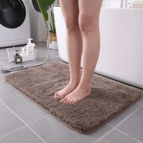 Absorbent Indoor Doormat
