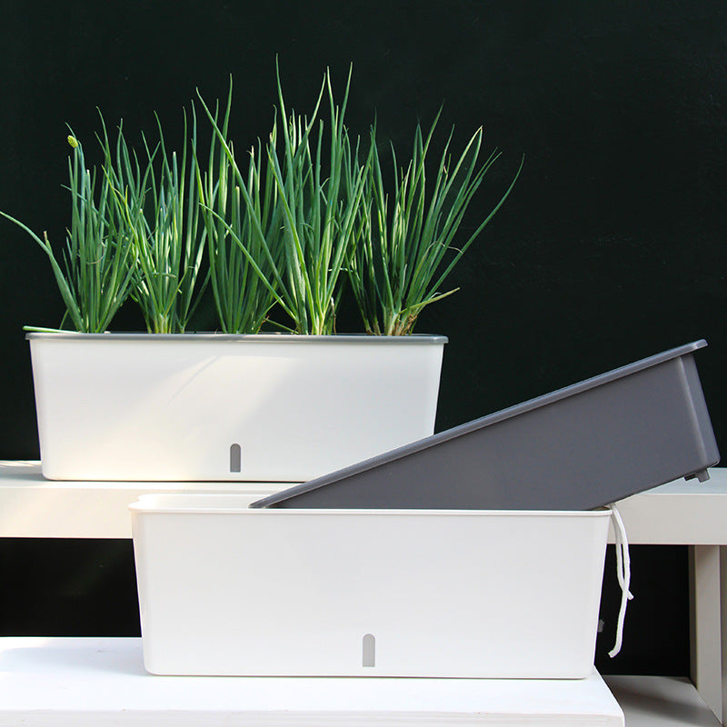 Self-Watering Window Planter