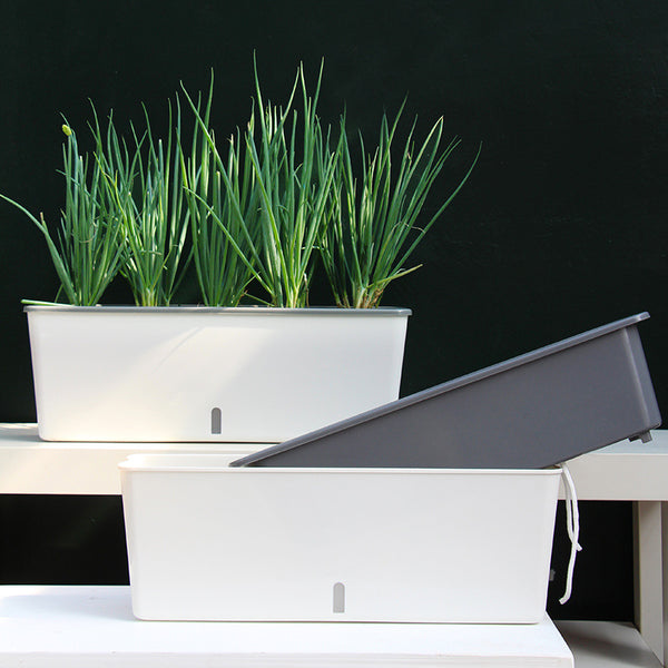 Self-Watering Window Planter