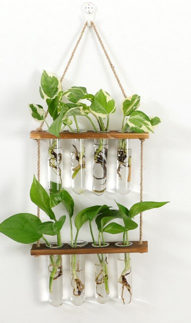 Wall-Hanging Glass Propagation Station