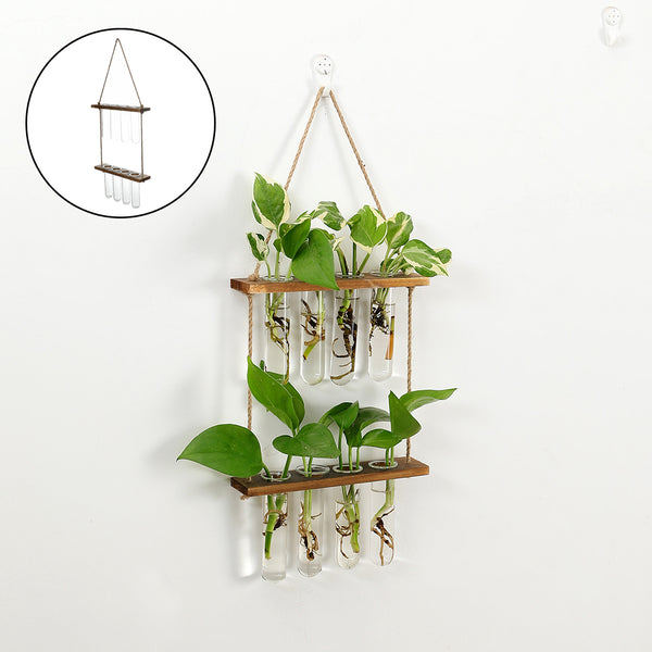 Wall-Hanging Glass Propagation Station