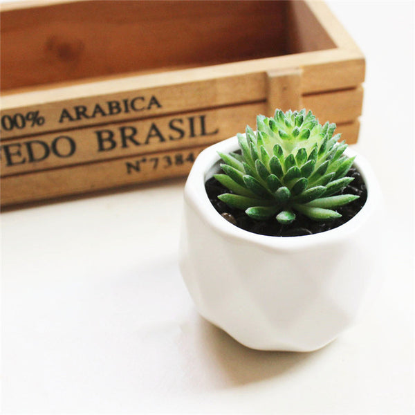Artificial Succulent